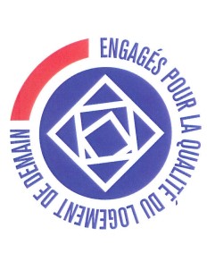 logo AMI